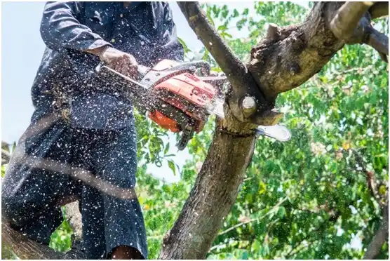 tree services Heppner